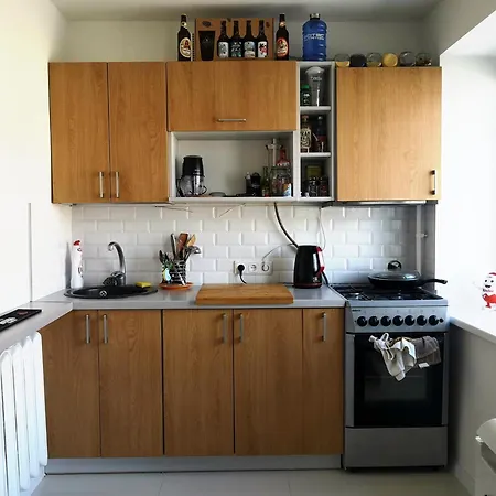 Apartment Cozy In Zaliakalnis Kaunas